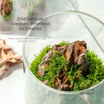 Üvegből készült mohás mini tájkép dísz, rockery forma, kézzel készített