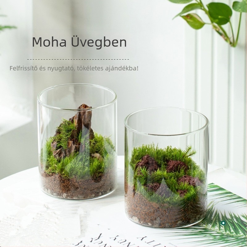Üvegből készült mohás mini tájkép dísz, rockery forma, kézzel készített