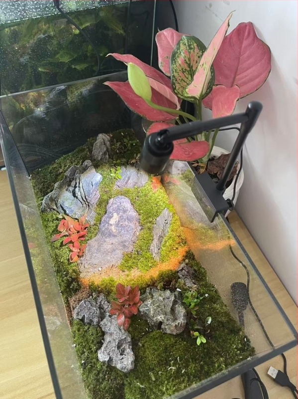 USB akvárium LED világítás, 3W, alumínium- és vas kivitel, mini spotlámpa kis akváriumokhoz