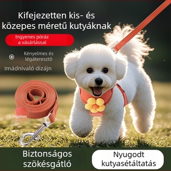 Reflektív mellény-stílusú kutyahám pórázzal, kicsi és közepes méretű kutyáknak