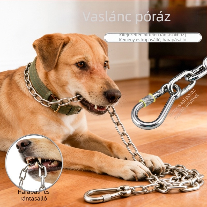 Harapás elleni kutyapóráz készlet: sétáló lánc és háziállat kiegészítők