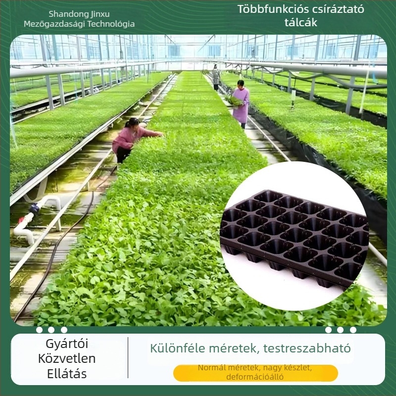 PET anyagú palánta tálca Seedling tray 002, palánta- és zöldségtermesztéshez, Jin Xu