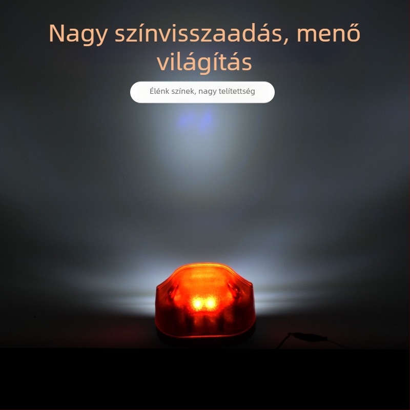 6-LED rendszámvilágítás autókhoz, teherautókhoz és furgonokhoz – 10–30V, 2W, 6000K, élettartam 20 000 óra