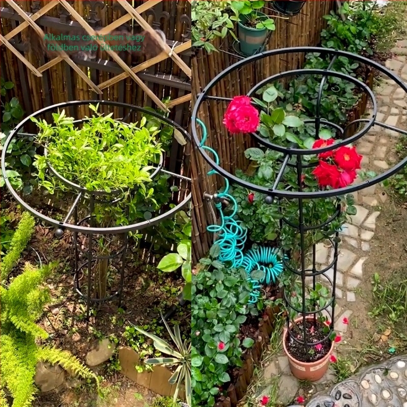 Esernyő alakú virágtartó kapacitás rózsák és futó növények számára, galvanizált acélcső műanyag bevonattal, kültéri használatra