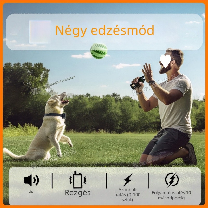 Kutyatréning elektromos nyakörv távirányítóval, 2000 méteres hatótáv