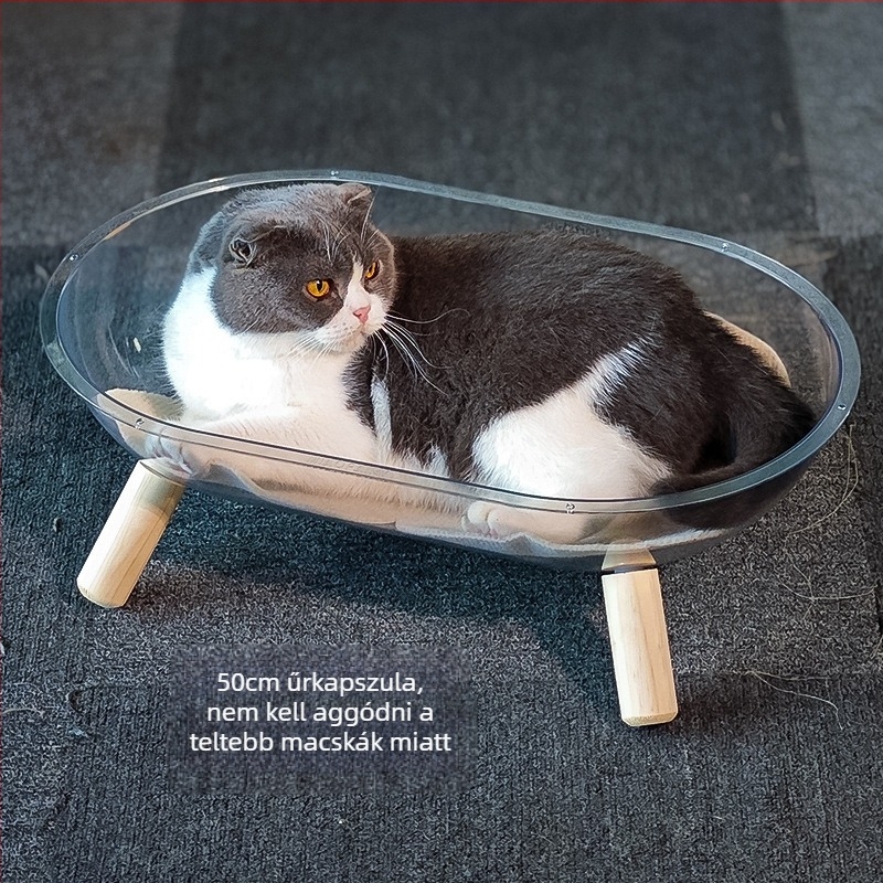 Űrkapszula macskafészek, akril, Dream cat