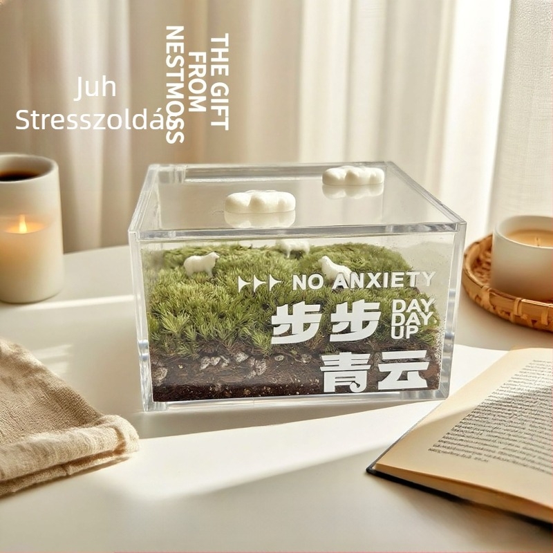 Mikro mohás táj terrárium – asztali dekoráció, stresszoldás