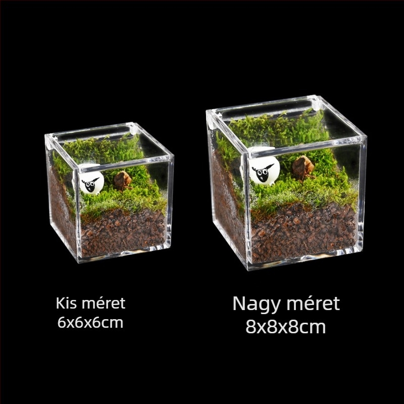 Asztali mohás mini táj – üveg, füves formájú táj, kézzel készített, márka Qiko