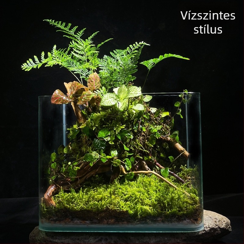Kézzel készített üveg mikro-tájkép akvárium élő mohaival, asztali dekorációhoz