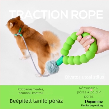All-in-One kutyapóráz habos markolattal – nylon-zsinór és szilikon, márka kimpets, eredet Zhejiang