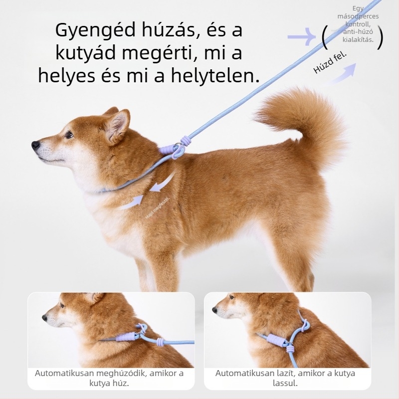 All-in-One kutyapóráz habos markolattal – nylon-zsinór és szilikon, márka kimpets, eredet Zhejiang