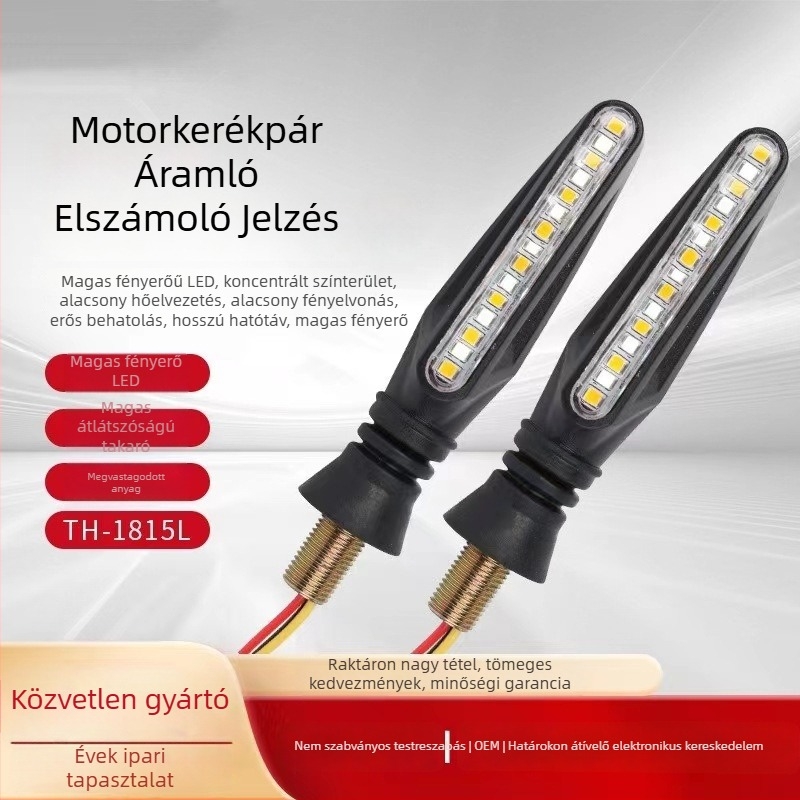 Motorkerékpár LED nappali fények kanyarjelzőkkel Flowing Water stílusban, 12V, TH-1815L, ABS