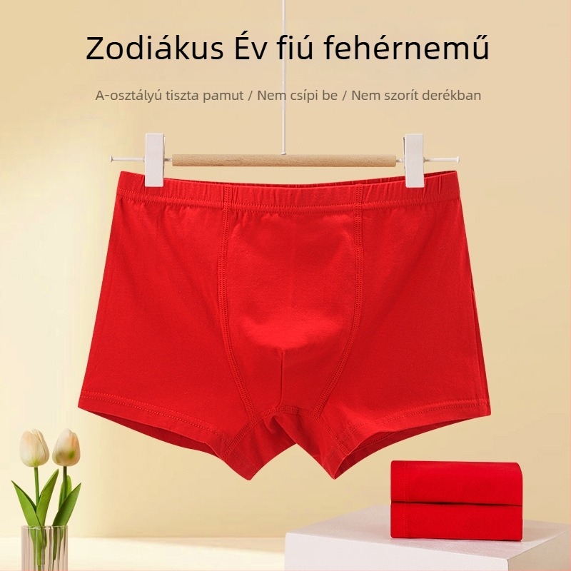 Piros pamut boxeralsó fiúknak, Kígyó éve, 8 éves kortól