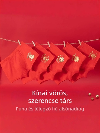 Fiúknak készült modal alsónadrág, 95% modal, középső derék, varrás nélküli, 3–8 éveseknek