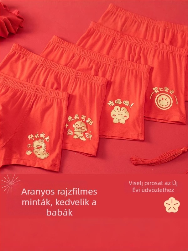 Fiúknak készült modal alsónadrág, 95% modal, középső derék, varrás nélküli, 3–8 éveseknek