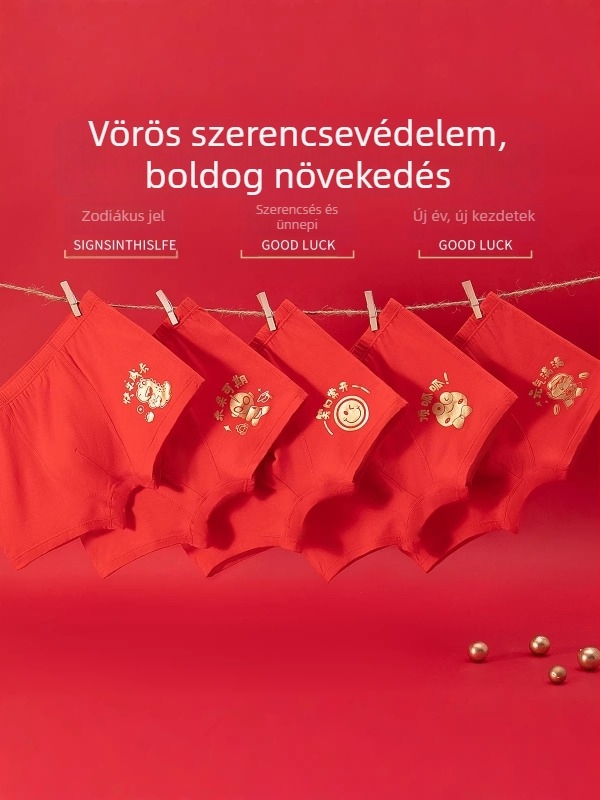 Fiúknak készült modal alsónadrág, 95% modal, középső derék, varrás nélküli, 3–8 éveseknek