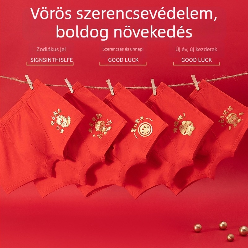 Fiúknak készült modal alsónadrág, 95% modal, középső derék, varrás nélküli, 3–8 éveseknek