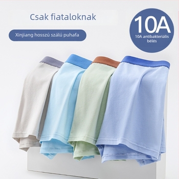 Fiúknak boxeralsó, 95% pamut + 5% elasztán, varrat nélküli kivitelezés, biztonsági szint A, Slim Child Yi