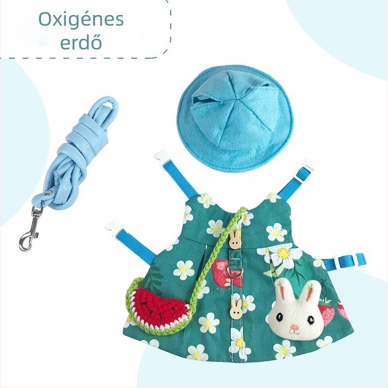 Nyúl kisállat ruházat és póráz – rajzfilm stílus, gyapot, Radish Valley, universal