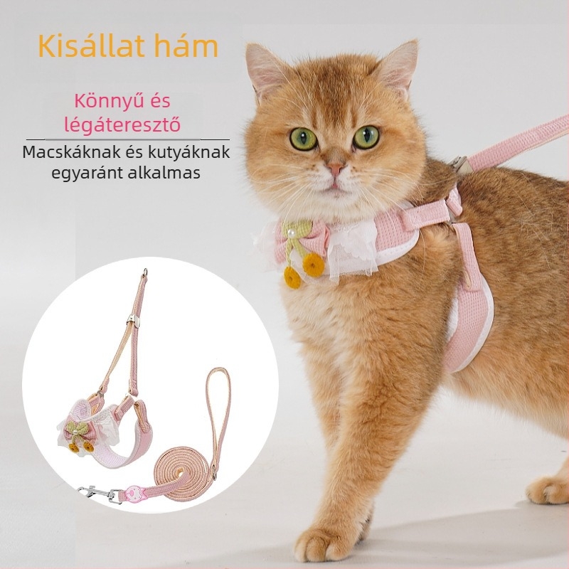Állítható mellény-stílusú hám kistestű macskáknak és kutyáknak, kültéri sétákhoz pórázzal