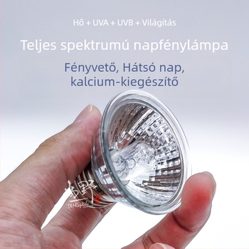 Mini hüllőnaplámpa UVA/UVB 3.0 szárazföldi és vízi teknősök számára, kalcium-kiegészítő, 25W
