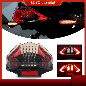LED hátsó lámpa LY-BW-TL001 BMW motorkerékpárhoz R1200GS/F800, 30W, 12V, 6000K, 3000 lm