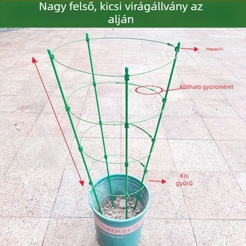 Beltéri futó növényekhez készült műanyag keretes állvány – támogatás rózsa és clematis számára