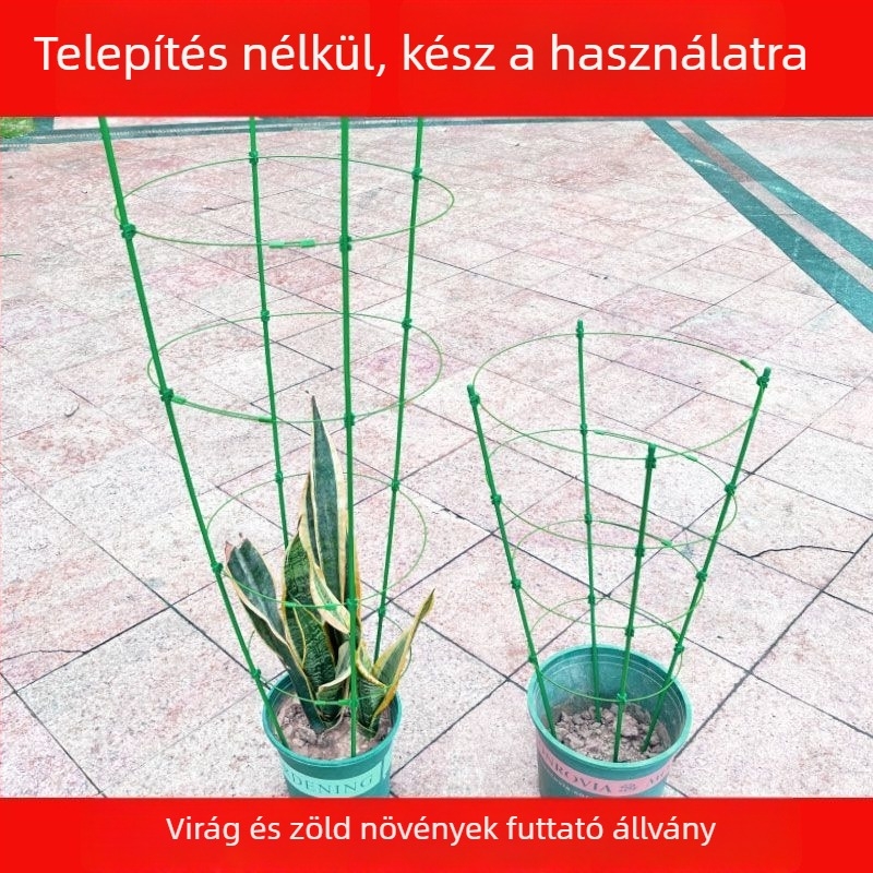 Beltéri futó növényekhez készült műanyag keretes állvány – támogatás rózsa és clematis számára