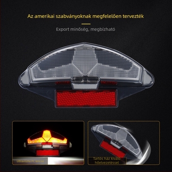 BMW motorkerékpár LED hátsó lámpa: R1200GS/Dakar, G650GS, F800R/S/ST