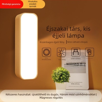 Éjjeli lámpa asztali lámpa hangvezérléssel - CRI ≥95, AA-szintű megvilágítás, USB tápegység, 220V