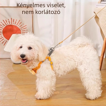 Kutyapóráz és mellény-stílusú hám kis testű kutyáknak, fényvisszaverő