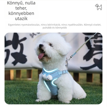 Kutyapóráz és mellény-stílusú hám kis testű kutyáknak, fényvisszaverő