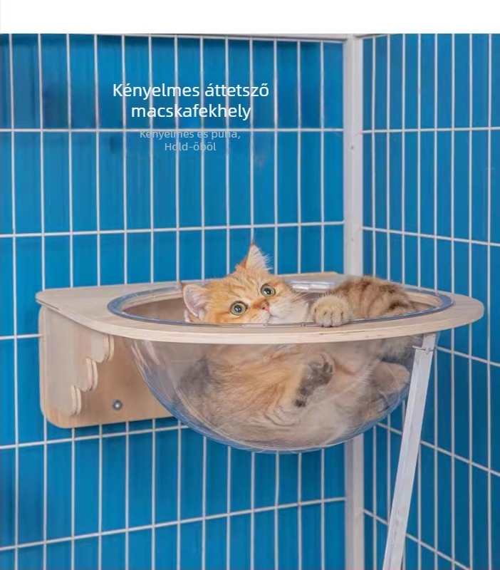 Fából készült, falra szerelhető macskás mászókeret kapszulás platformmal, helytakarékos kivitel, karmolóoszlop és létra, nyúl-fészek