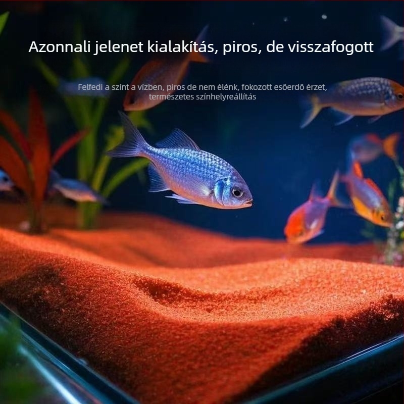 Kőalapú aljzathomok akváriumhoz – homokos látvány, 5–10 kg