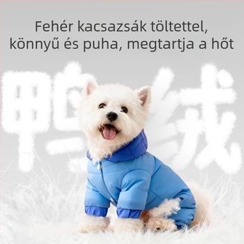 Hippie Dog töltött kutyafelső, casual stílus, privát márka, megfelelő tavaszra és őszre, egész éves viselet