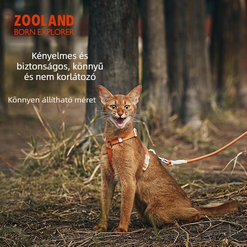 Nylon macska hám és póráz, anti-elszökés, állítható I-formájú mellkas- és hát dizájn, kismacskáknak