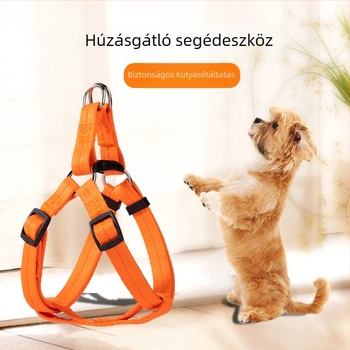 Egypontos vállpántos kutyapóráz sétára, kis testű kutyáknak, mellény-stílusú hám (Teddy, Corgi)