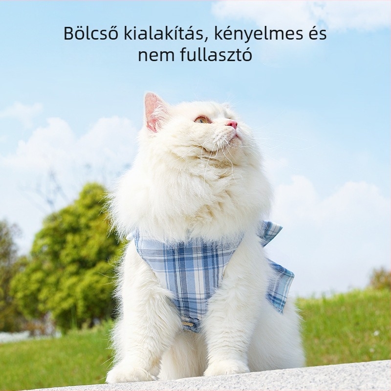 Macska hám és póráz – kockás mintázatú készlet