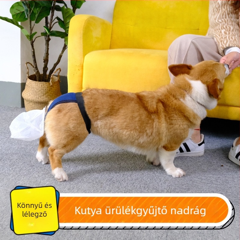 Idős kutyák számára széklet zacskó és gyűjtőeszköz - inkontinencia miatti széklet zacskó idős kutyáknak (Eredet: Más; Doboz mennyiség: Más; Termék kategória: Toalett)