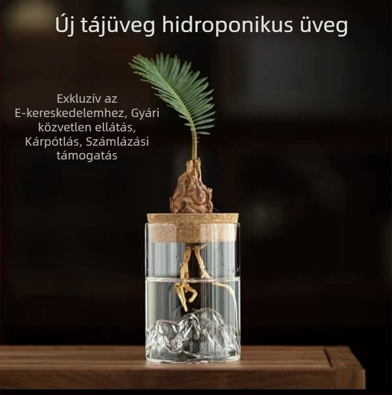 Hidroponikus váza mikrotáj bonsai számára, boroszilikát üveg, karton csomagolás, ajándékhoz alkalmas