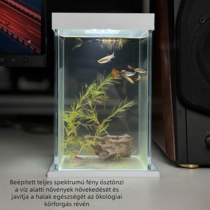 Yue Yu asztali üveg akvárium aranyhalak számára, 3W világítás, ökológiai kialakítás