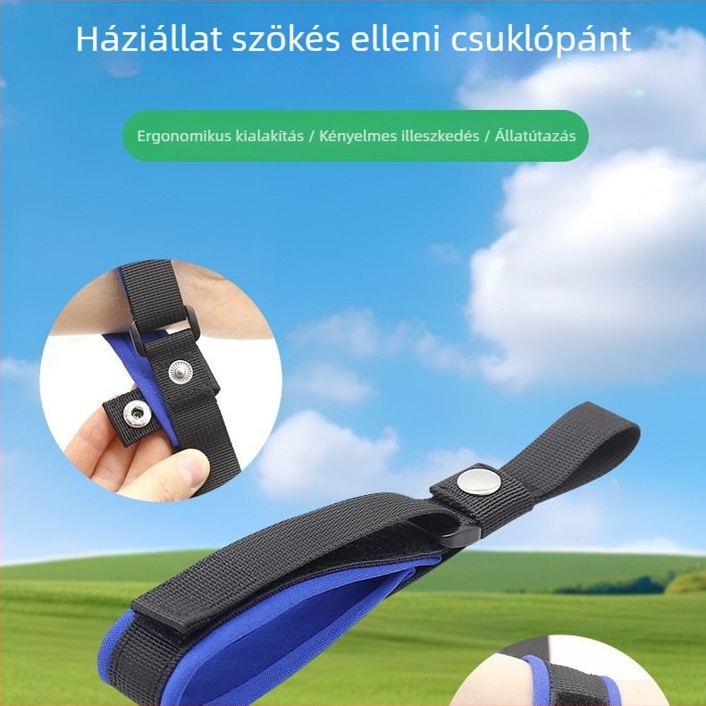 Automatikus visszahúzható kutyapóráz csuklópánttal, nylonból, bővíthető, 50 darabos készlet, YIAO