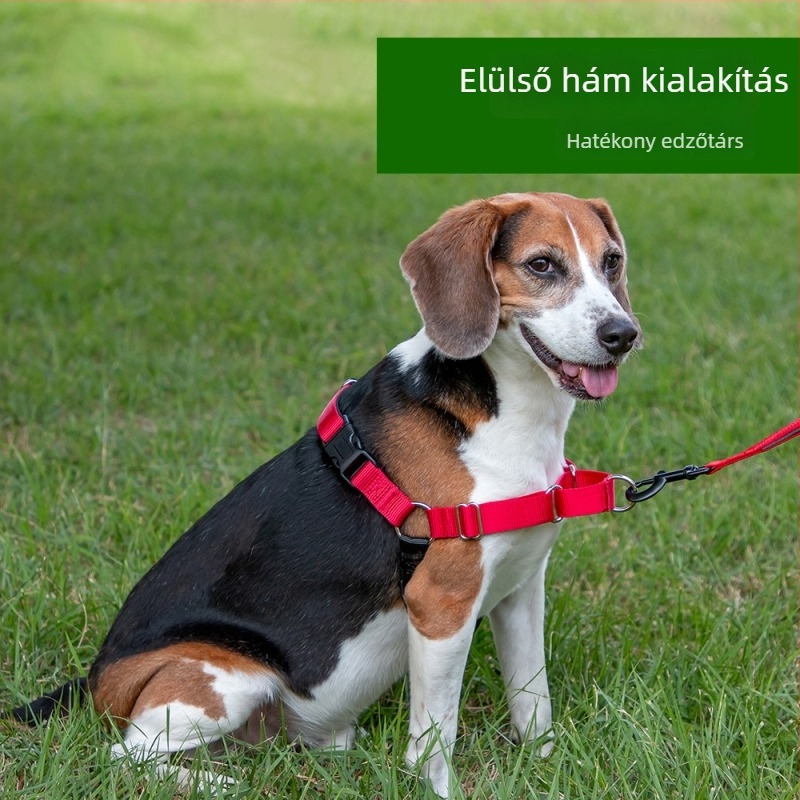 Nylonból készült kutya hám, vest-stílusú, anti-shock és nem visszahúzható elülső hevederrel (Nylon; Anti-Shock; Márka: Cool Rui)