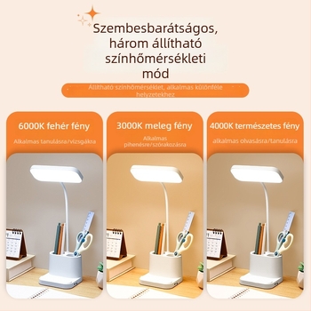 Tanuláshoz készült asztali lámpa érintéses kapcsolóval, dupla tolltartóval, beépített újratölthető akkumulátorral, LED 5W, CRI ≥90