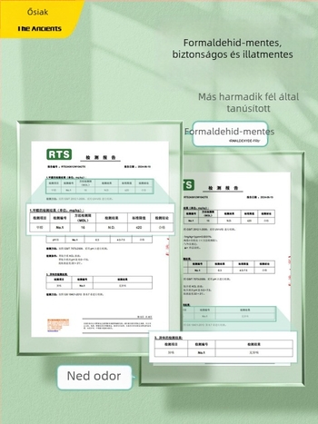 Felfújható kültéri kanapé dönthető és alvó funkcióval, 1-2 személyes kapacitás, Oxford anyag, kézi pumpa — Primitive ancients