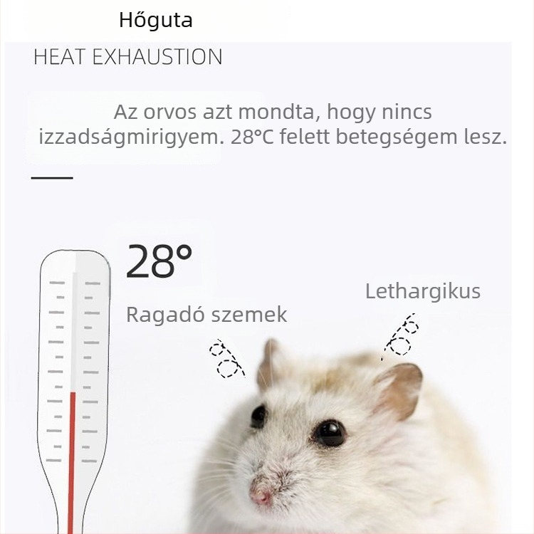 Kerámiából készült hörcsög ház, fa üreg imitációval, kerek alakú, vízálló, belső használatra