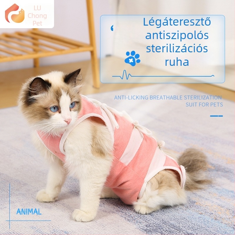Macska sterilizálás utáni ruhája – lélegző pamut ruha házi kedvenceknek, háromfokú rögzítés: elasztikus pulóver, hátsó pánt és farkon Velcro; megakadályozza a fertőzéseket, a nyalogatást és a tejleadást; testhez álló, anti-szálhasadás