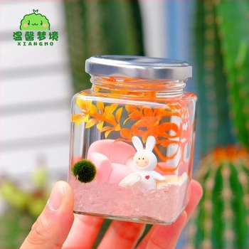 Warm dream Üvegből készült mini terrárium marimóval - hidroponikus mikro tájkép növény, ajándék