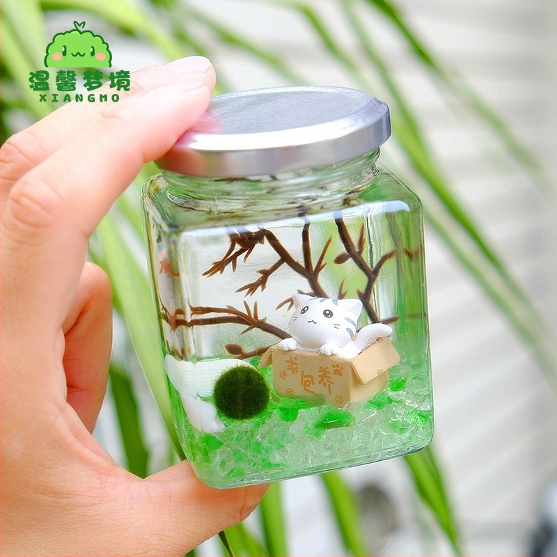 Warm dream Üvegből készült mini terrárium marimóval - hidroponikus mikro tájkép növény, ajándék