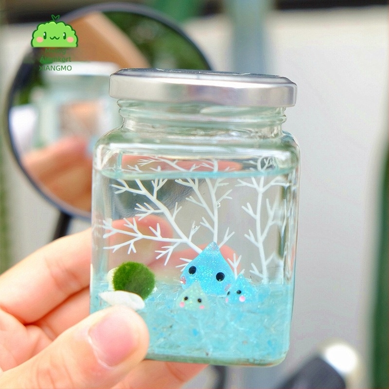 Warm dream Üvegből készült mini terrárium marimóval - hidroponikus mikro tájkép növény, ajándék